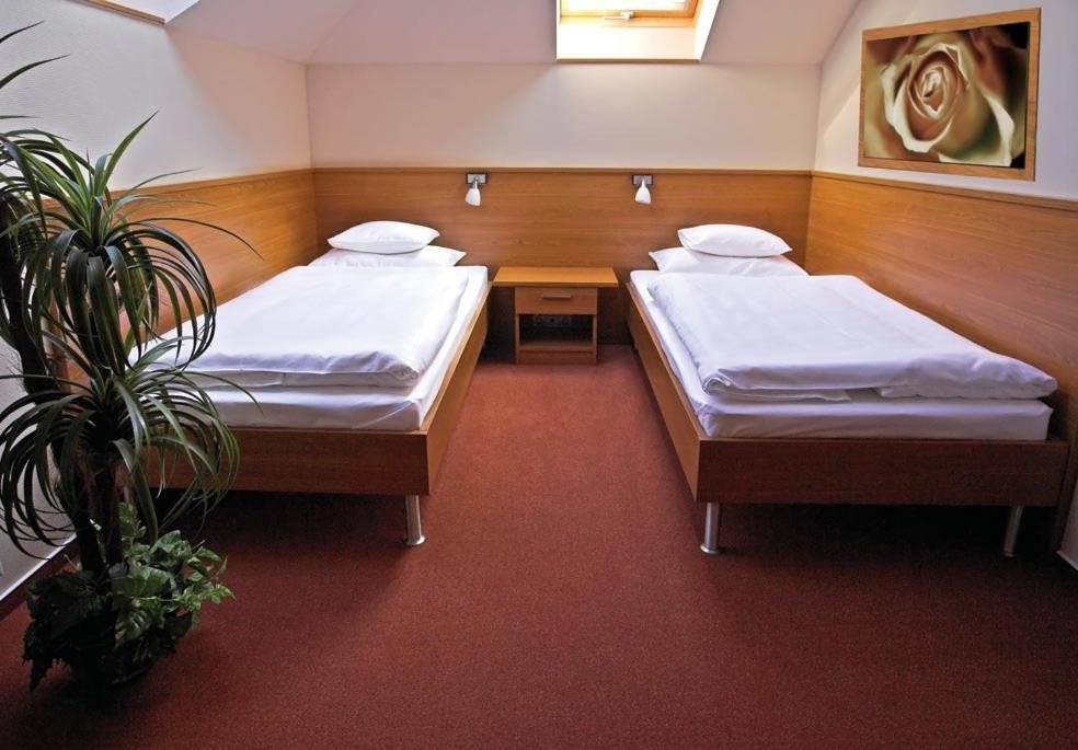Promedicum Panzio Hotel Veszprem Ruang foto
